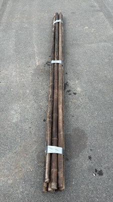 Lot 119 - Bundle of 10 Bamboo Poles