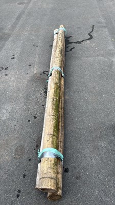Lot 125 - Bundle of 3 large Bamboo Poles