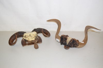Lot 83 - Two mounted pairs of rams horns