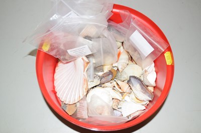 Lot 102 - Box of various seashells and fossils