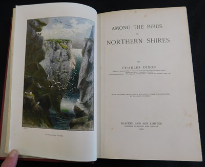 Lot 284 - CHARLES DIXON: AMONG THE BIRDS IN NORTHERN...