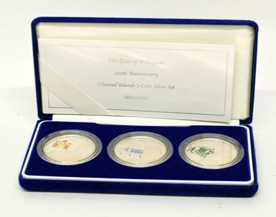 Lot 139 - Cased 2002 Duke of Wellington's 150th...