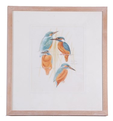 Lot 117 - Keith Brockie (British, 20th Century), A study...