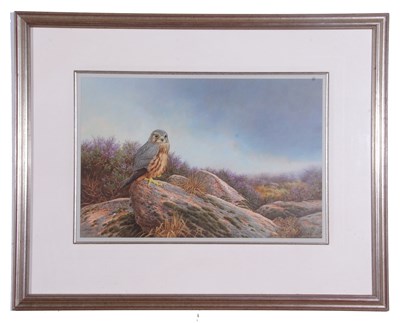 Lot 98 - Raymond C. Watson (British, 1935-1994), Merlin,...