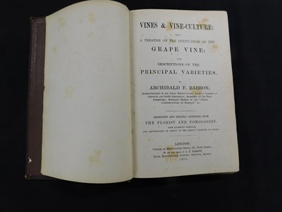 Lot 206 - ARCHIBALD FARQUHARSON BARRON: VINES AND...