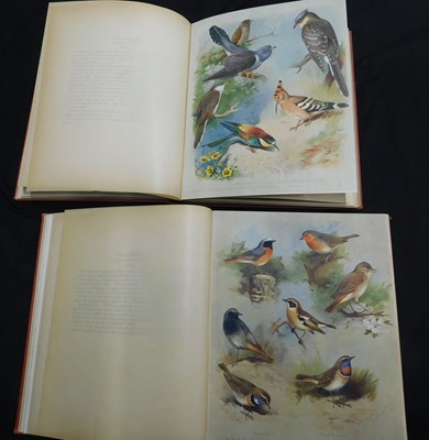 Lot 381 - ARCHIBALD THORBURN: BRITISH BIRDS, London,...