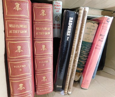 Lot 549 - Box: natural history etc