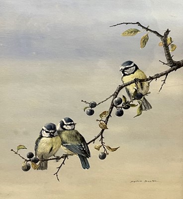 Lot 62 - Daphne Baxter (British), "Blue Tits", gouache,...