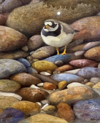 Lot 88 - Andrew Haslen (British b.1953), Ringed Plover,...