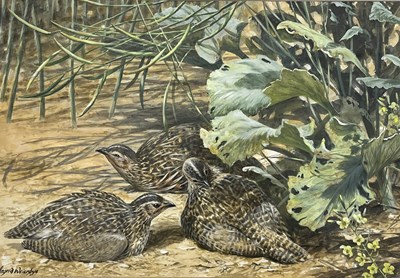 Lot 90 - Ingrid Weiersby (British, b. 1954), Quail,...