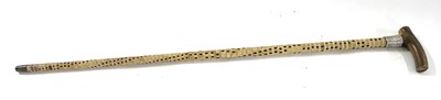 Lot 132 - Early 20th Century shark vertebrae walking...