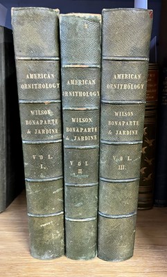 Lot 144 - Wilson (Alexander) American Ornithology with a...
