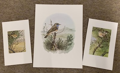 Lot 164 - After Richard A. Richardson, 'Bluethroat'...