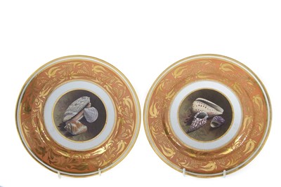 Lot 142 - A fine pair of Worcester flight barr plates...